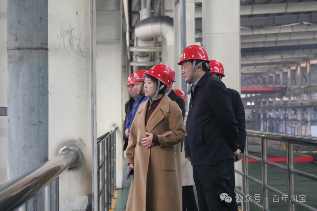 陈佳到万搏（中国）调研